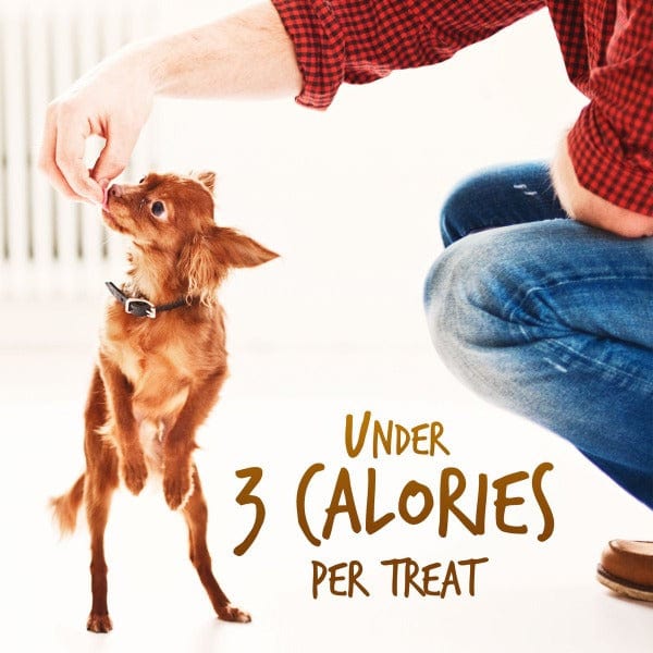 Fruitables Low - Calorie Mini Rotisserie Chicken Dog Training Treats