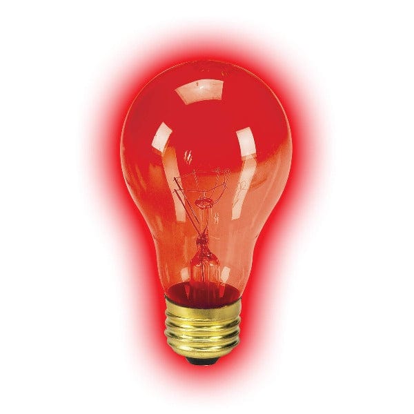 Zilla Red Night Incandescent Bulbs for Pet Habitats