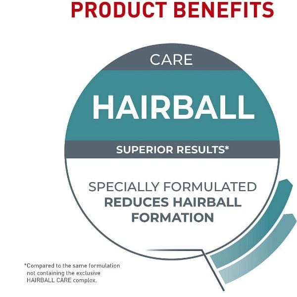 Royal Canin Premium Dry Cat Food for Hairball Care