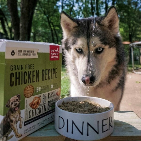 The Honest Kitchen Dehydrated Grain - Free Chicken Recipe Dog Food