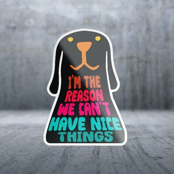 Matte Finish Sticker Pack - 'I'm The Reason We Can't' - Ideal for Multiple Surfaces, Large Size Included