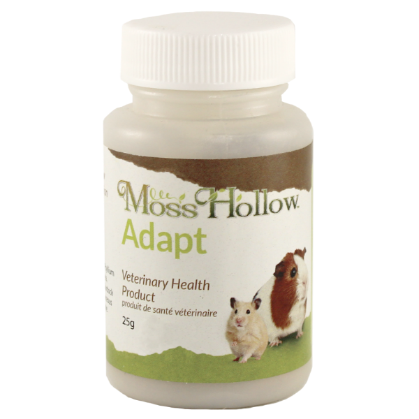 Moss Hollow Adapt - Ideal Aid for Pets to Adapt to New Homes