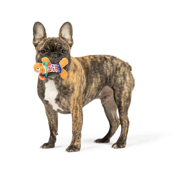 Huxley & Kent Festive Tiny Tuff Ugly Sweater Party Dog Toy Set for Small Dogs
