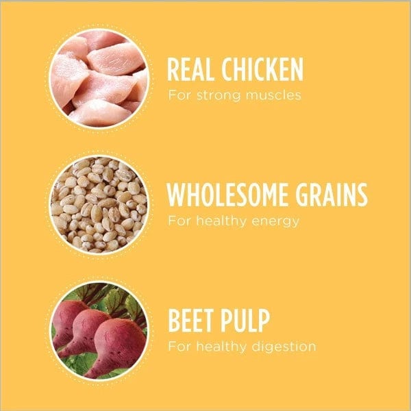 IAMS Proactive Health 7lb Dry Dog Food for Puppies, Chicken & Whole Grains