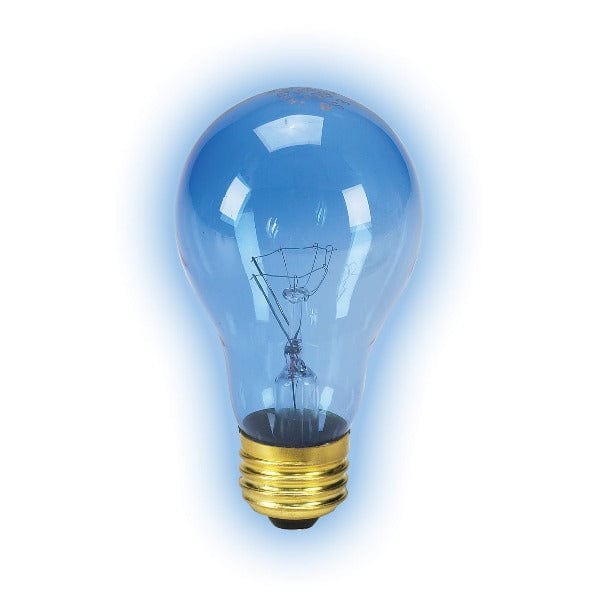 Zilla Day Blue Incandescent Bulbs for Premium Pet Care