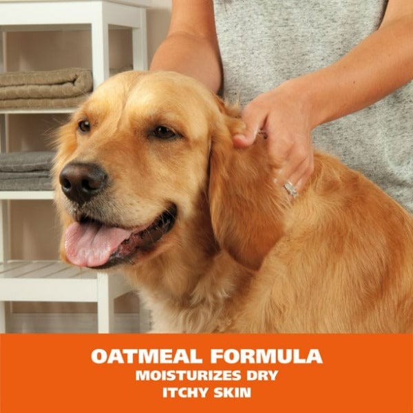 Wahl Coconut Lime Verbena Oatmeal Formula No - Rinse Shampoo for Canine Pets