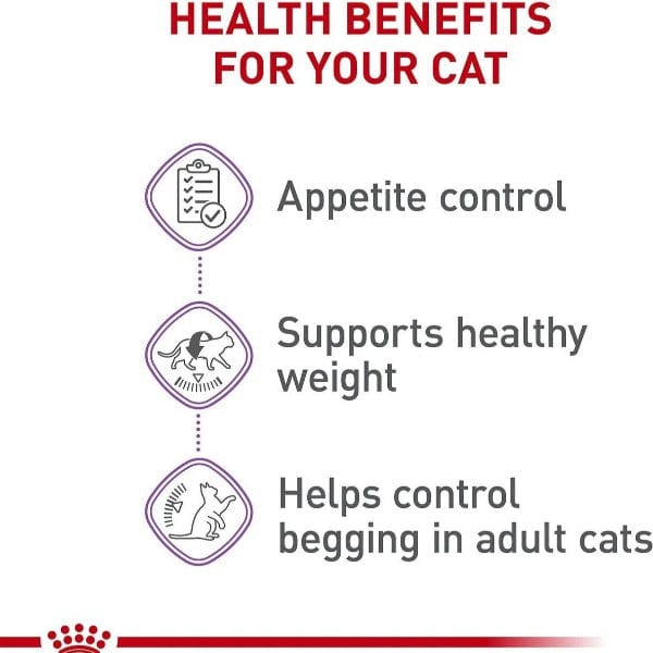 Royal Canin Dry Adult Cat Food for Appetite Control and Digestive Health