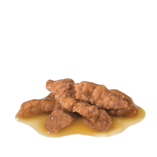 Royal Canin 85g Indoor Adult Cat Food in Gravy Morsels
