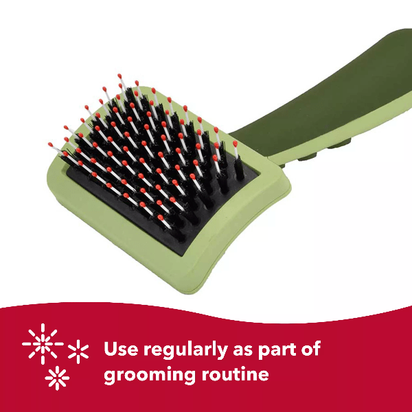 Safari by Coastal All - in - One Complete Grooming Cat Brush for All Coat Types