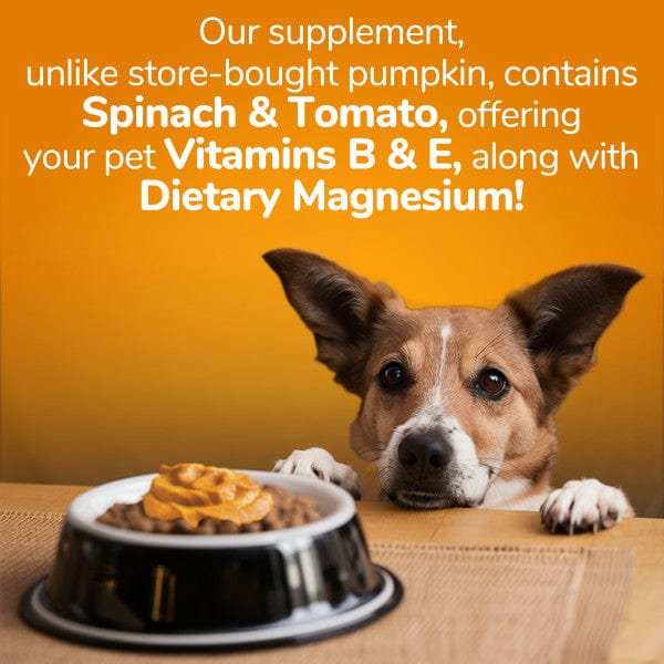 Fruitables Super Blend Digestive Health Supplement for Canine and Feline Pets