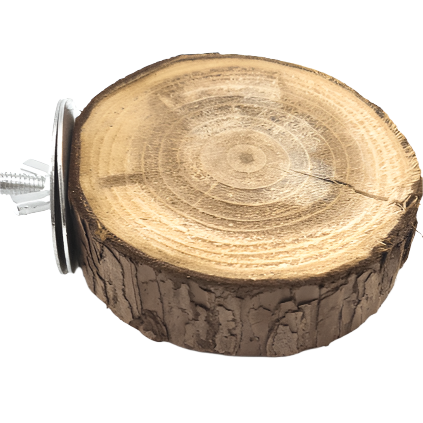 Natural Wood Moss Hollow Trunk Perch for Small Furry Pets