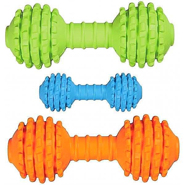 JW Pet Chompion High - Quality Rubber Dog Chew and Play Toy