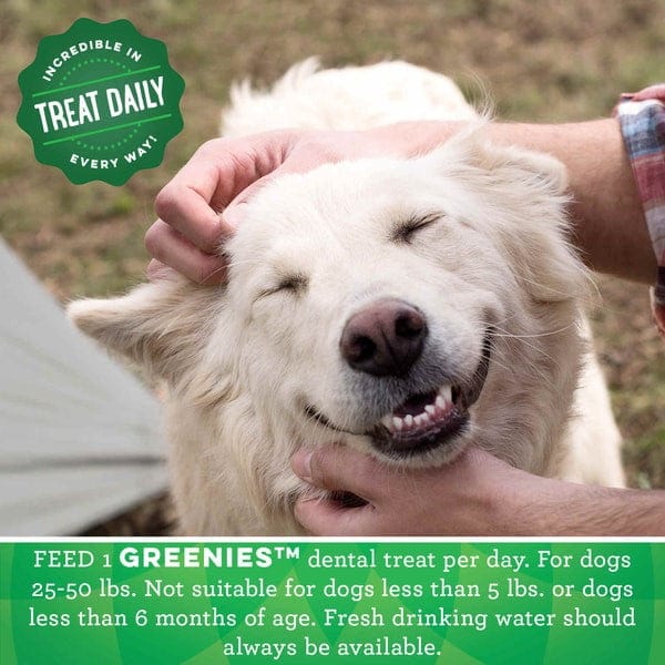 Greenies Regular Adult Dog Dental Chew Treats for Fresh Breath, 12 Ounce Package