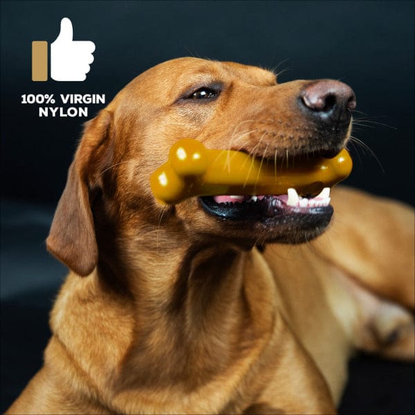 Delicious TastyBone Nylon Dog Chew Bone with Peanut Butter Flavour