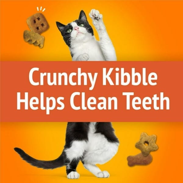 Friskies Original Crunchy Party Mix Cat Treats for Feline Delight