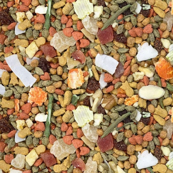 Higgins inTune Harmony Premium Food for Conure and Cockatiel Pet Birds