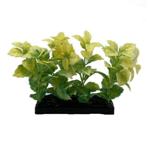 Ludwigia Aquarium Plants in Yellow & Green - Set of 4 for Fish Gear