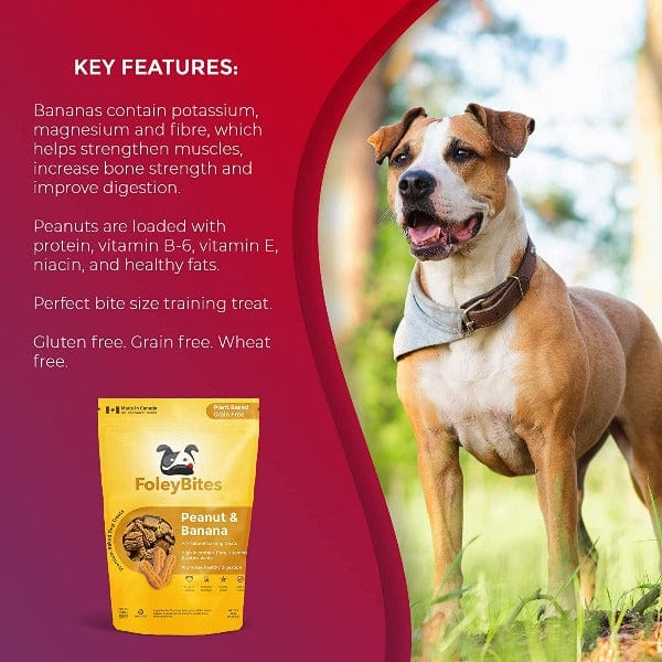 Premium Baked Foley Bites Dog Treats with Peanut and Banana Flavors