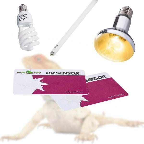 Reptizoo Two-Pack Durable UV Sensor Tester Card for Reptiles