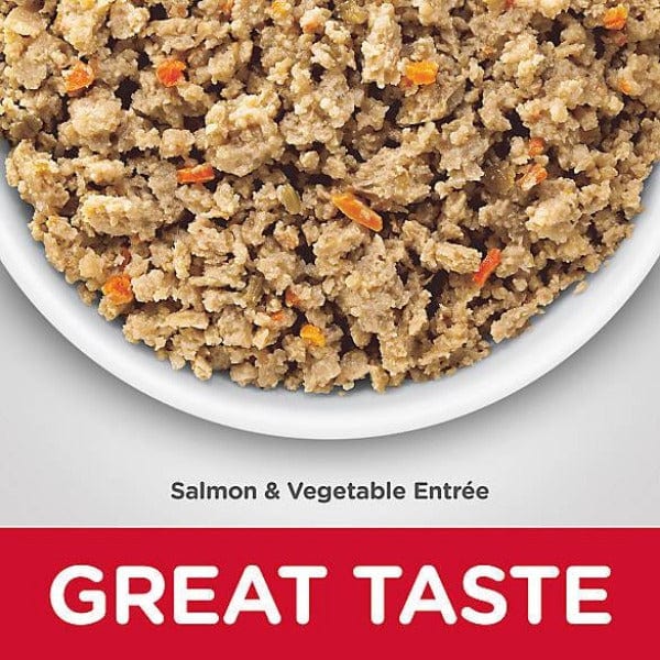 Hill's Science Diet Adult Canned Dog Food - 12.8oz Salmon & Vegetable for Sensitive Stomach & Skin