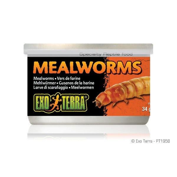 Exo Terra Canned Mealworms - Specialty Reptile Food for Easy Feeding