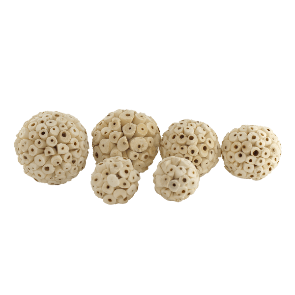 Eco - friendly Verdant Sola Balls for Parakeets and Parrots' Preening and Foraging