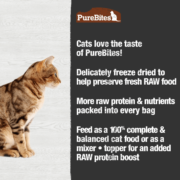 PureBites Freeze - Dried Turkey Recipe: A Premium Cat Food Topper