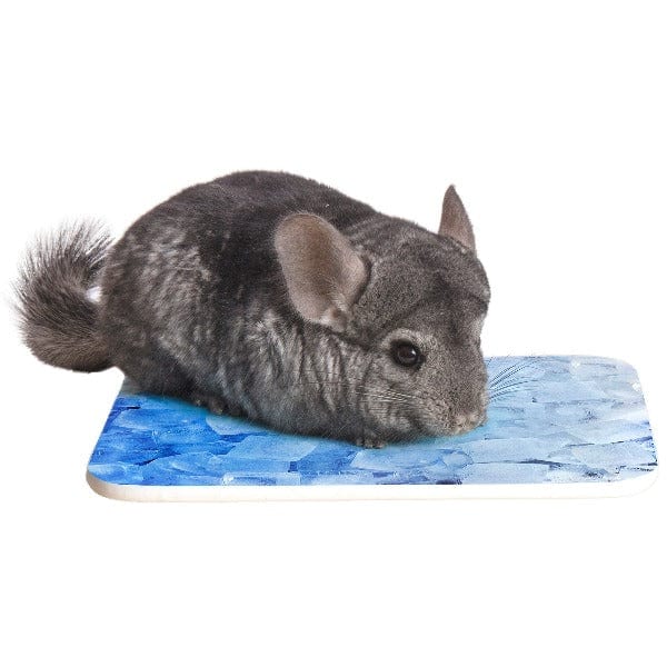 Cooling Stone for Small Critters - Ware Chill Stone