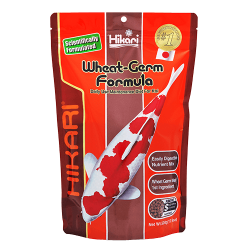 Hikari Floating Koi Wheat Germ Pellet - Ideal Daily Diet for Koi