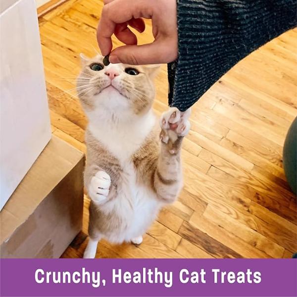 Wellness Kittles Premium Grain - Free Natural Salmon and Cranberries Flavored Cat Treats
