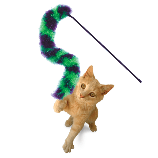 KONG Twisted Active Boa Teaser - Ideal Cat Toy for Hunting Instincts