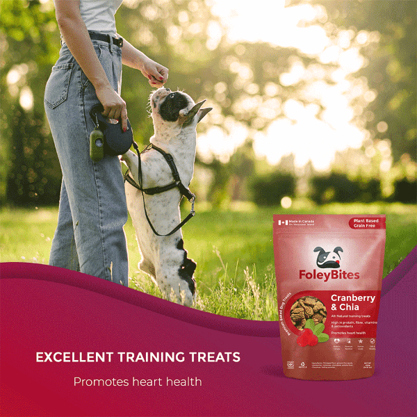 Premium Cranberry & Chia Baked Dog Treats by Foley - Plant - Based & Grain - Free