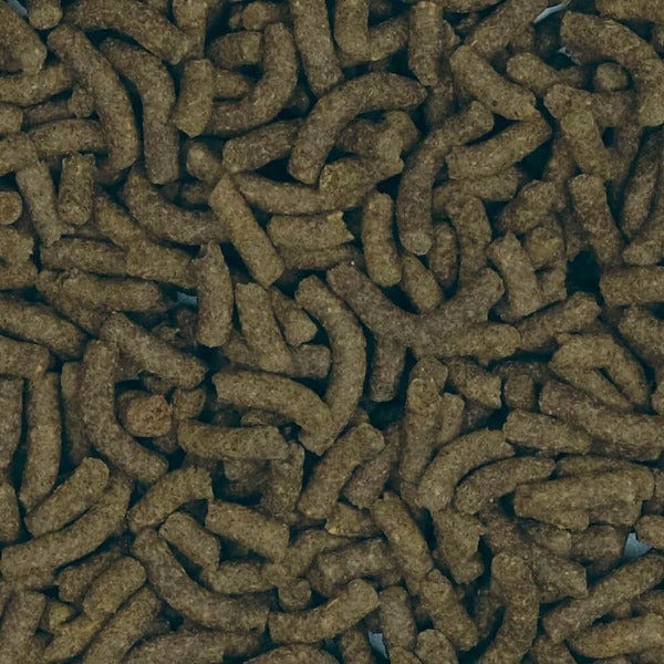 Fluval 130g Bug Bites Sinking Sticks - Pleco's Nutrient - Rich Formula