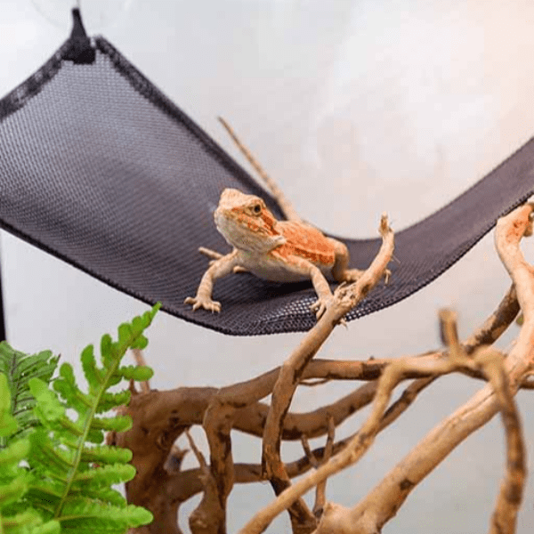 Reptizoo Soft Nylon Hammock for Reptiles' Climbing and Resting