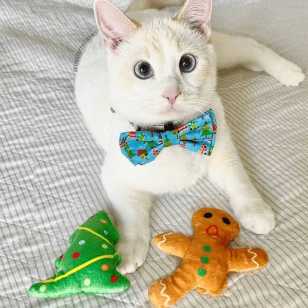 Huxley & Kent Oh Snap! Catnip-Filled Gingerbread Man Cat Toy