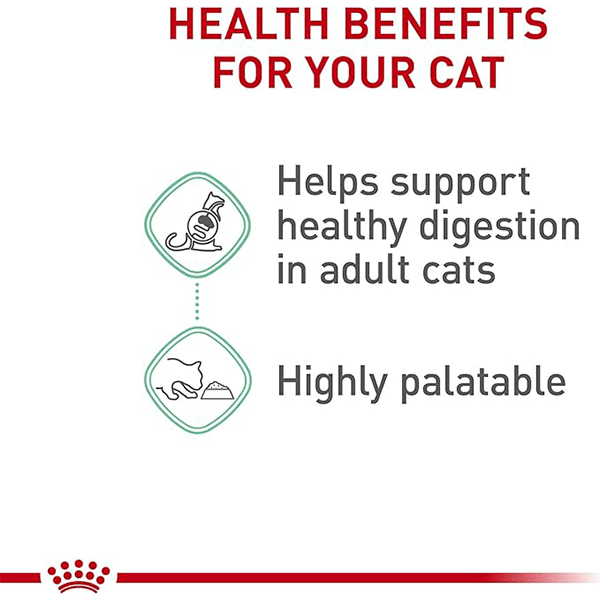 Royal Canin 145g Canned Cat Food with Digestive Care Loaf in Sauce
