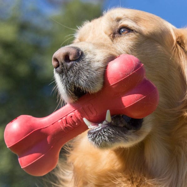 KONG Durable Goodie Bone Dog Toy for Chewing Enthusiasts