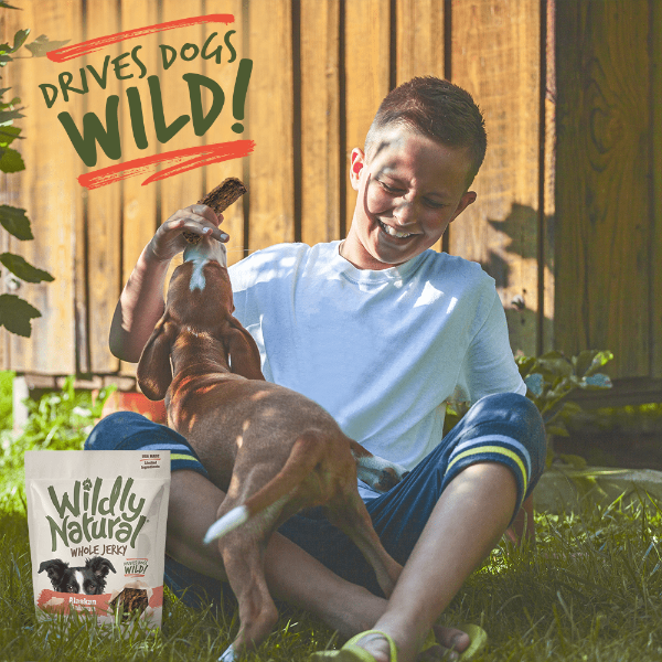 USA-Sourced Wildly Natural Whole Alaskan Salmon Jerky Dog Treats