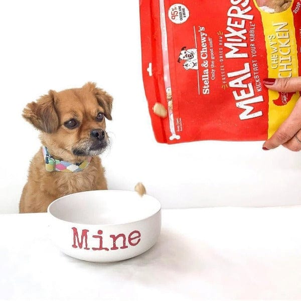 Stella & Chewy's Cage-Free Chicken Meal Mixers for Dogs - Raw Nutrition Boost