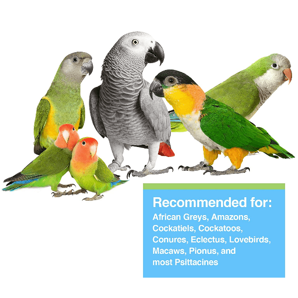Tropican Premium Hand-Feeding Formula Specially Designed for Parrots