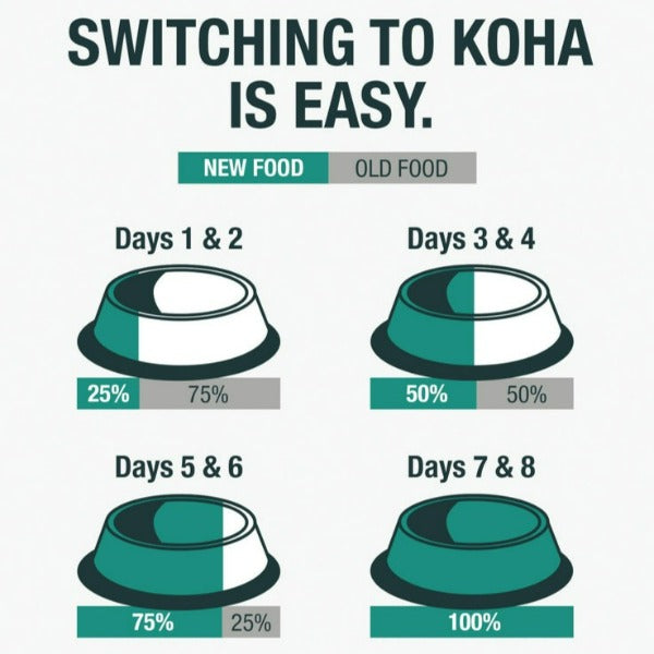 KOHA Canned Chicken Pate Cat Food - Ideal for Cats with Dietary Sensitivities