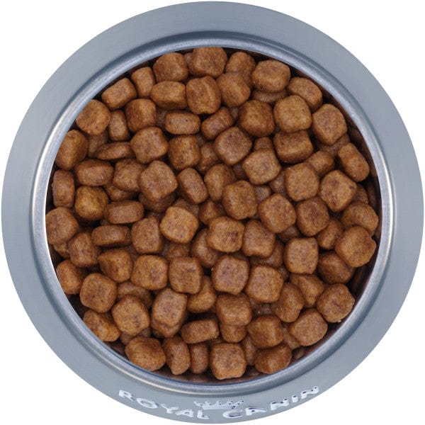 Royal Canin Premium Adult Dry Dog Food for Purebred Toy and Miniature Poodles