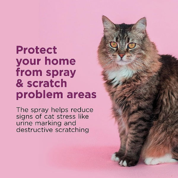Comfort Zone Cat Calming Spray for Scratching & Urine Marking Control