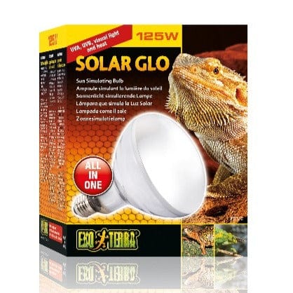 Exo Terra Premium Bearded Dragon Starter Kit with Ideal Housing Features