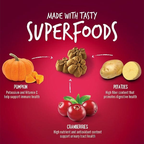 Fruitables Super - Healthy Baked Pumpkin & Cranberry Dog Treats