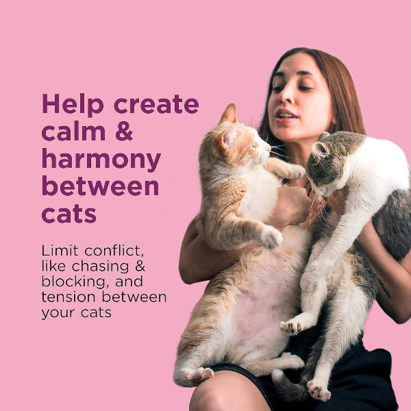 Comfort Zone Multi-Cat Pheromone Diffuser Kit for Peaceful Feline Coexistence