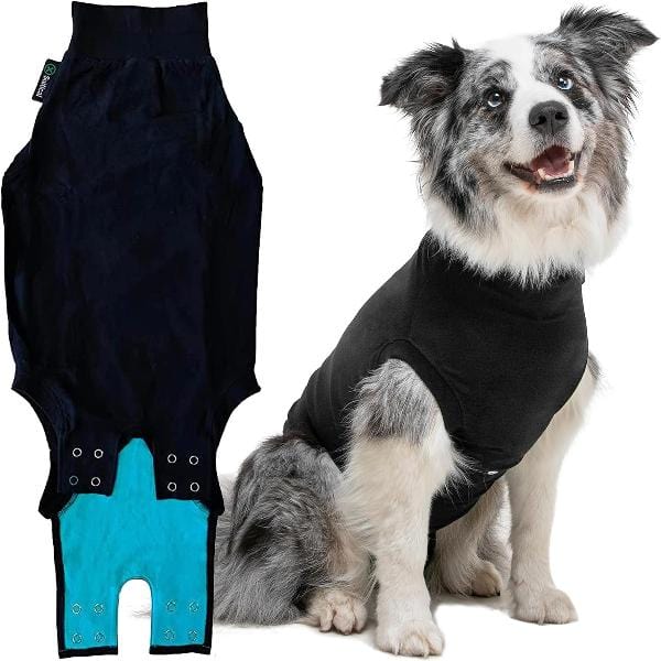 Premium Dog Recovery Suit - Suitical Brand for Post - Surgery and Various Conditions