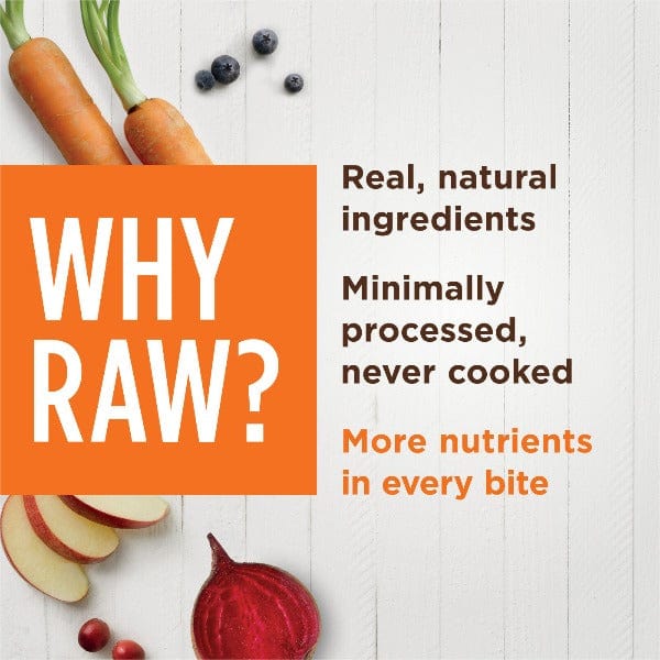 Instinct Raw Boost Shakers - Premium Cage - Free Chicken Recipe Dog Food Topper for a Nutritious Meal Addition