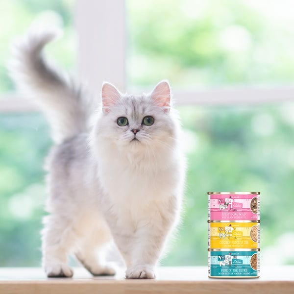 Canned Cat Food: Cats in the Kitchen Funk in the Trunk - A Gourmet Delight for Feline Friends