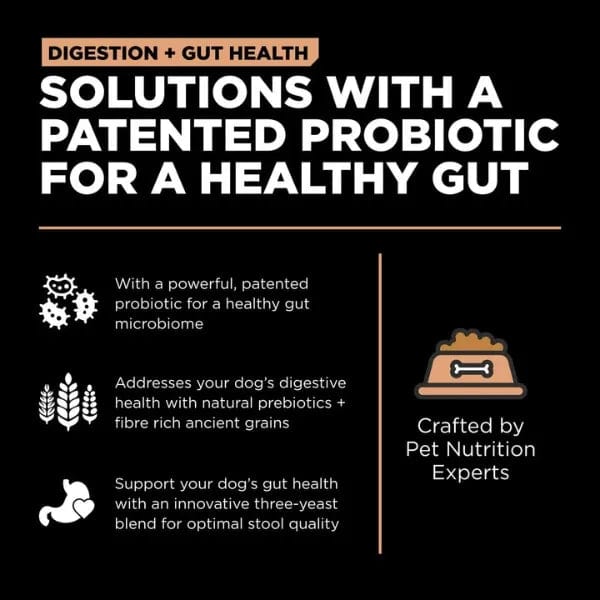 Go! Solutions Premium Dry Dog Food - Salmon Recipe with Ancient Grains for Digestion and Gut Health